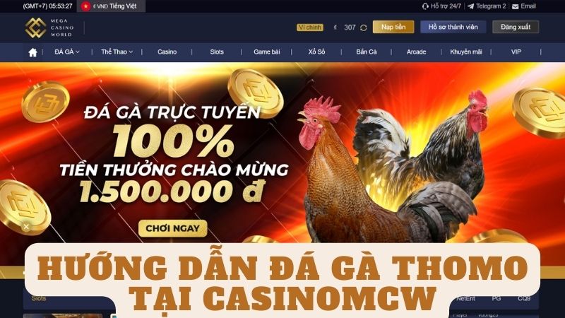 Đá gà Casinomcw: Hướng dẫn cách tham gia đá gà Thomo